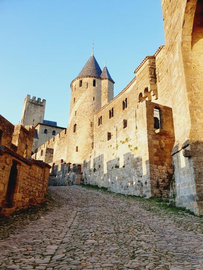 Maison avec jardin au pied de la cité médiévale Carcassonne Esterno foto