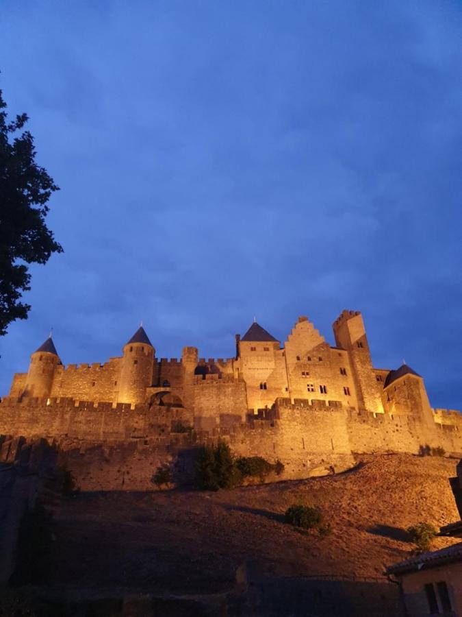 Maison avec jardin au pied de la cité médiévale Carcassonne Esterno foto